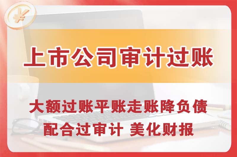 龙海上市公司审计过账